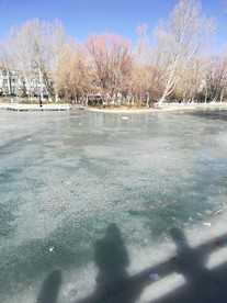 冬天结冰的湖泊树林风光