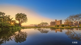 风景