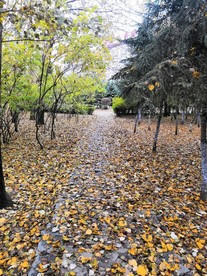 秋季景色