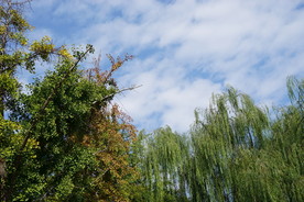 美丽的天空