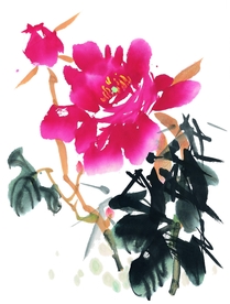 国画牡丹