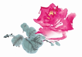 国画牡丹