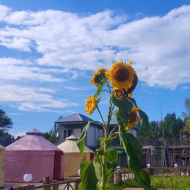 建筑风景唯美