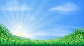 草地蓝天