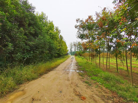 美丽的乡村道路风景
