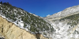 山坡雪松雪山风景