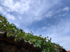 蓝天下的屋顶