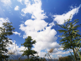 野外的天空