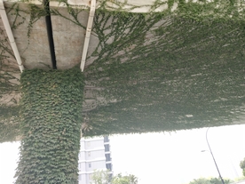 桥底