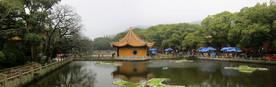 普陀山风光