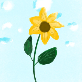 插画向日葵