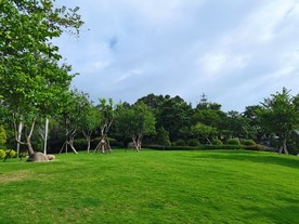 绿草地