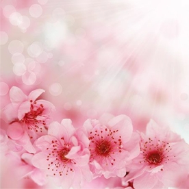 粉色花