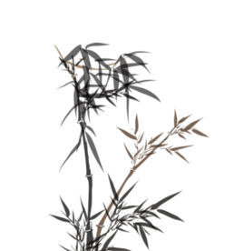 水墨竹子