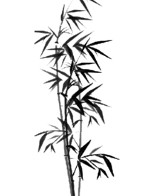水墨竹子