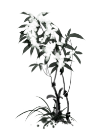 水墨竹子