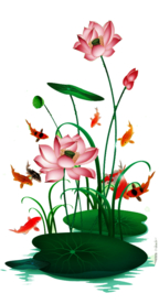 荷花元素