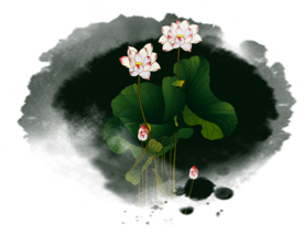 荷花元素