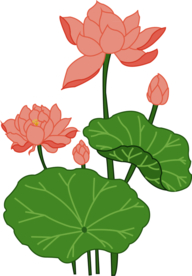 荷花元素