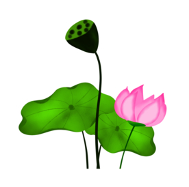 荷花元素