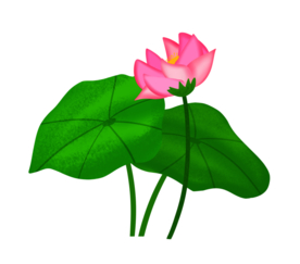 荷花元素