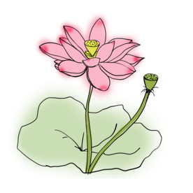 荷花元素