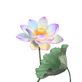 荷花元素