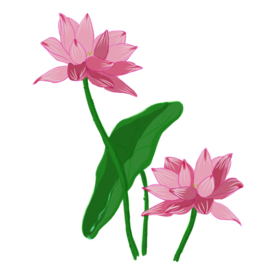 荷花元素