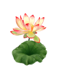 荷花元素