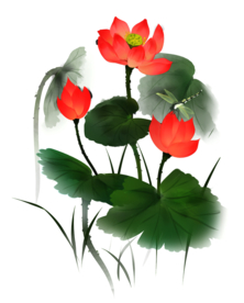 荷花元素