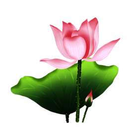 荷花元素