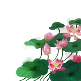 荷花元素