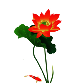 荷花元素