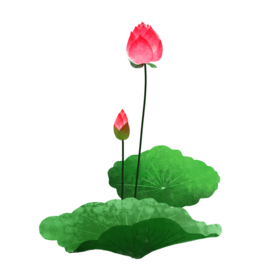 荷花元素
