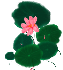 荷花元素