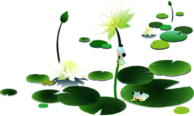 荷花元素