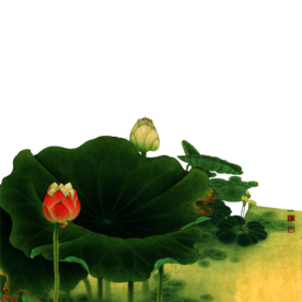 荷花元素