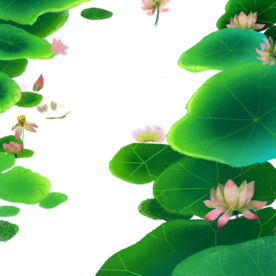 荷花元素