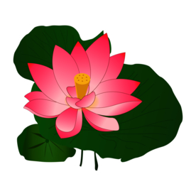 荷花元素