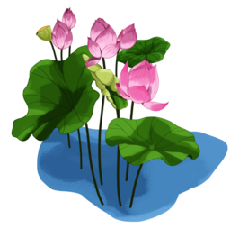 荷花元素