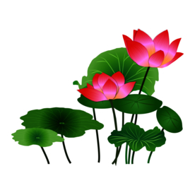 荷花元素
