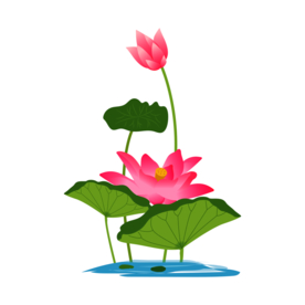 荷花元素