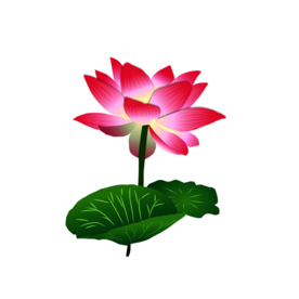 荷花元素