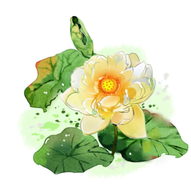 荷花元素