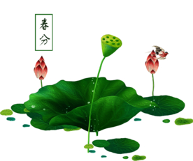 荷花元素