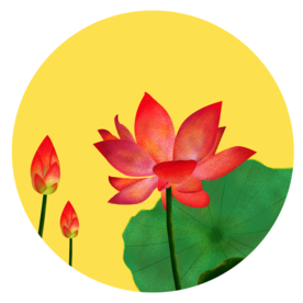 荷花元素