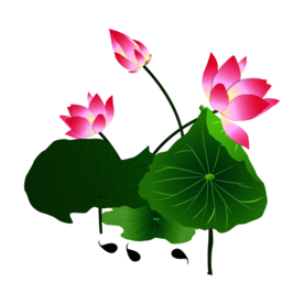 荷花元素