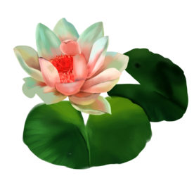 荷花元素