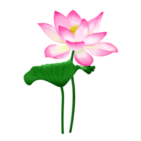 荷花元素