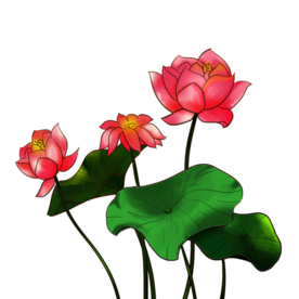 荷花元素